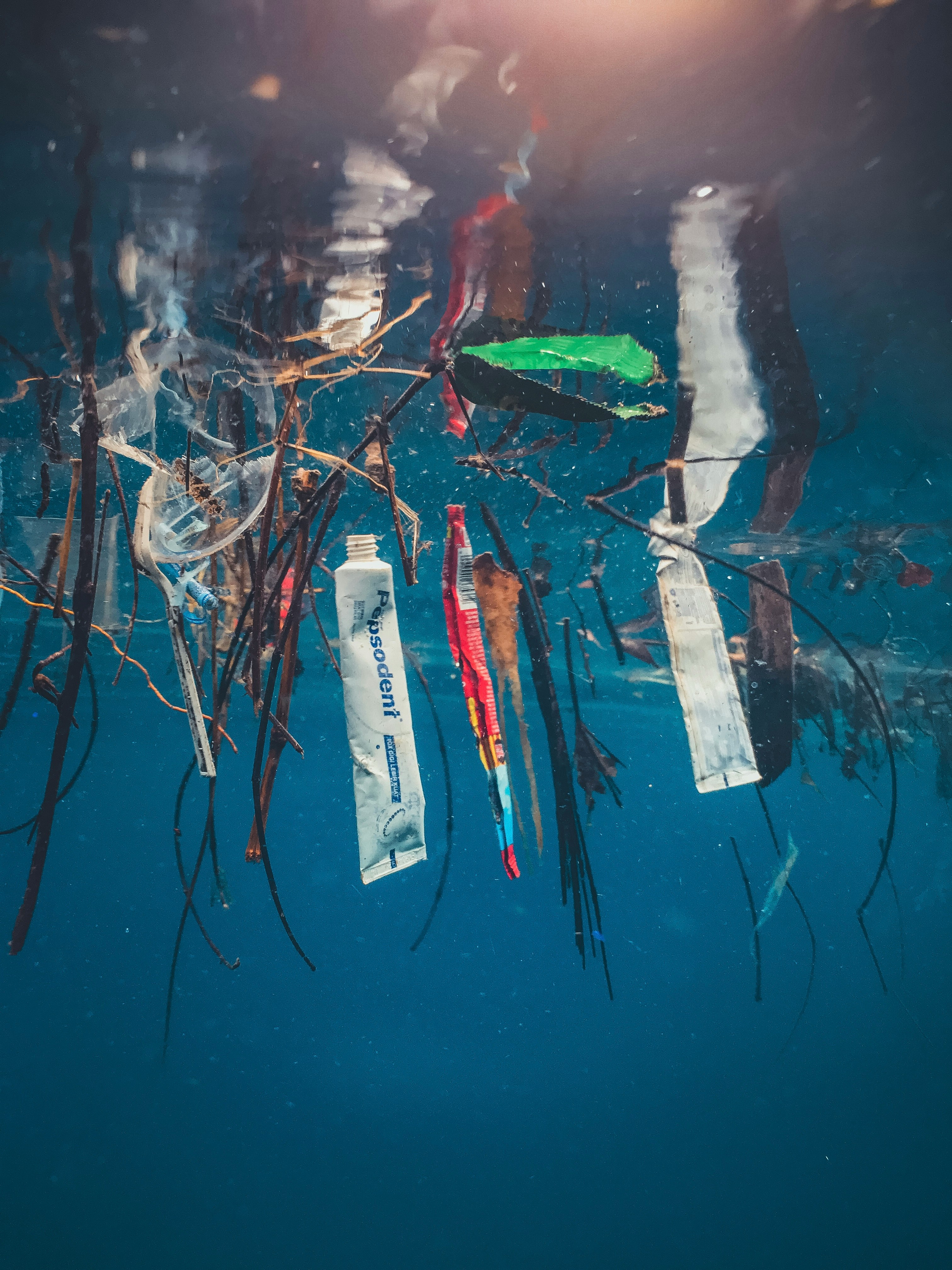 marine pollution