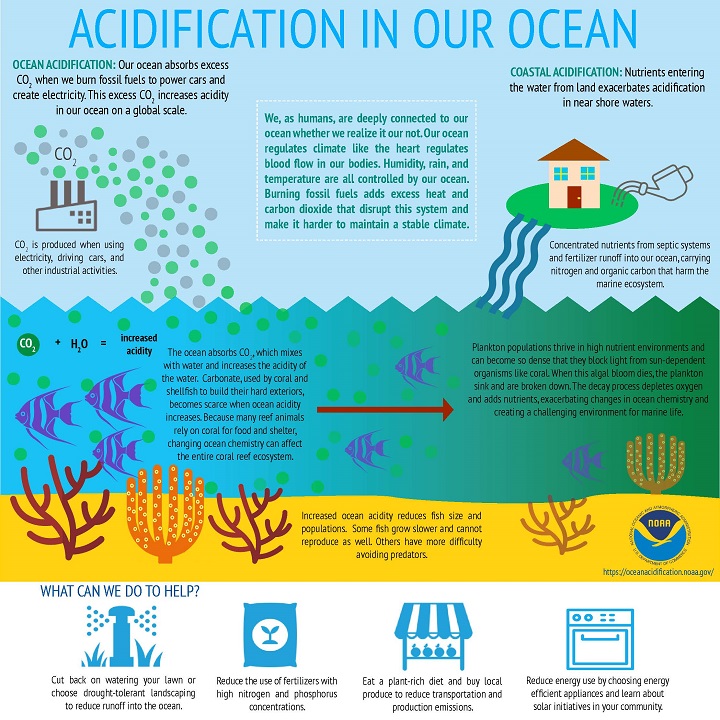 ocean acidification